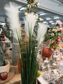 PIANTA PAMPAS AVORIO C/VASO